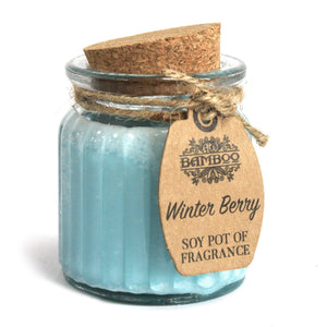 Winter Berry Soy Candle Pots (Pk 2)